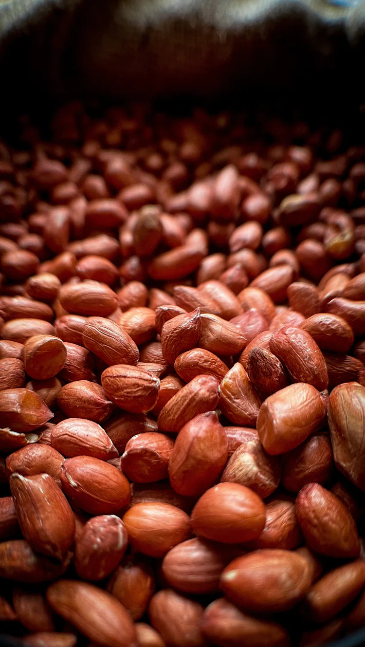 Best Quality Groundnut Sourced from Farmers for Oil Extraction at Nani's Potion